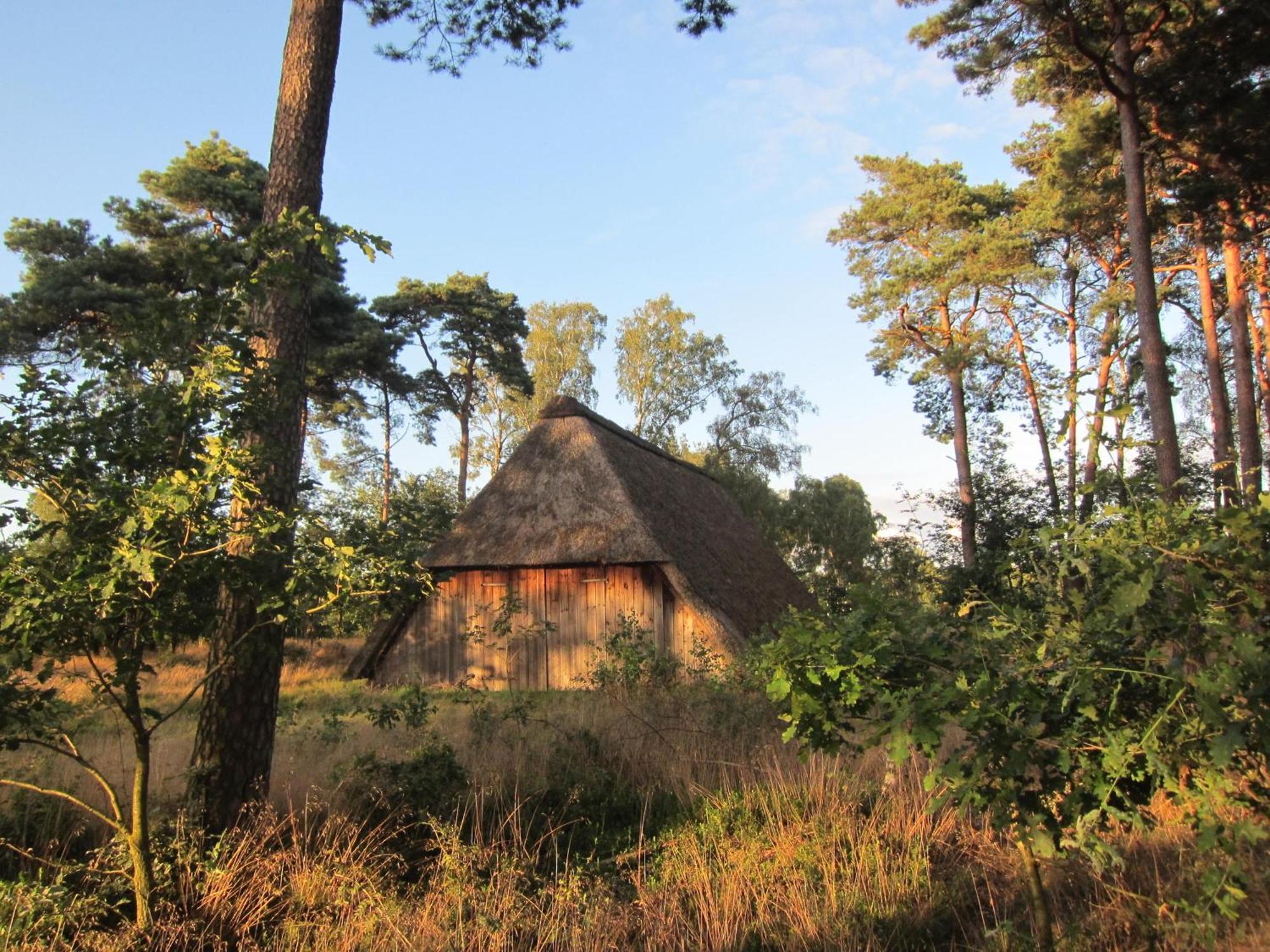 Haus Heidetal Bed & Breakfast Bispingen Bagian luar foto