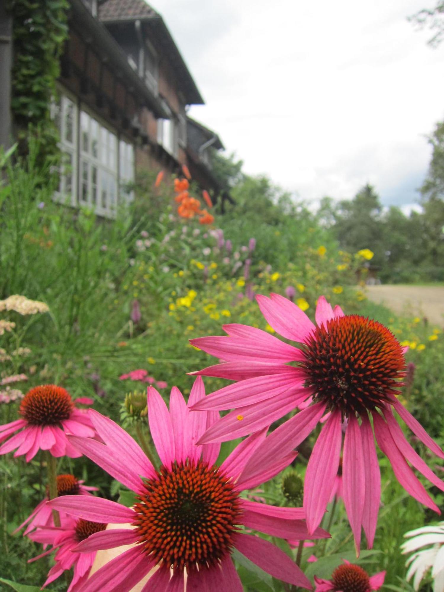 Haus Heidetal Bed & Breakfast Bispingen Bagian luar foto