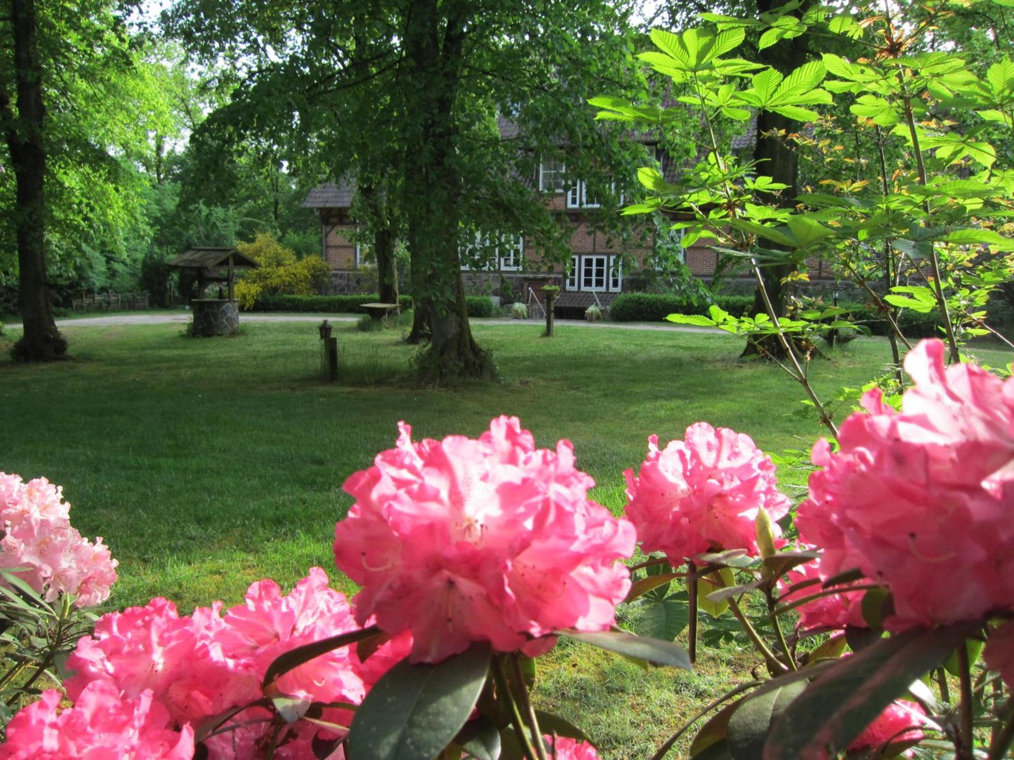 Haus Heidetal Bed & Breakfast Bispingen Bagian luar foto