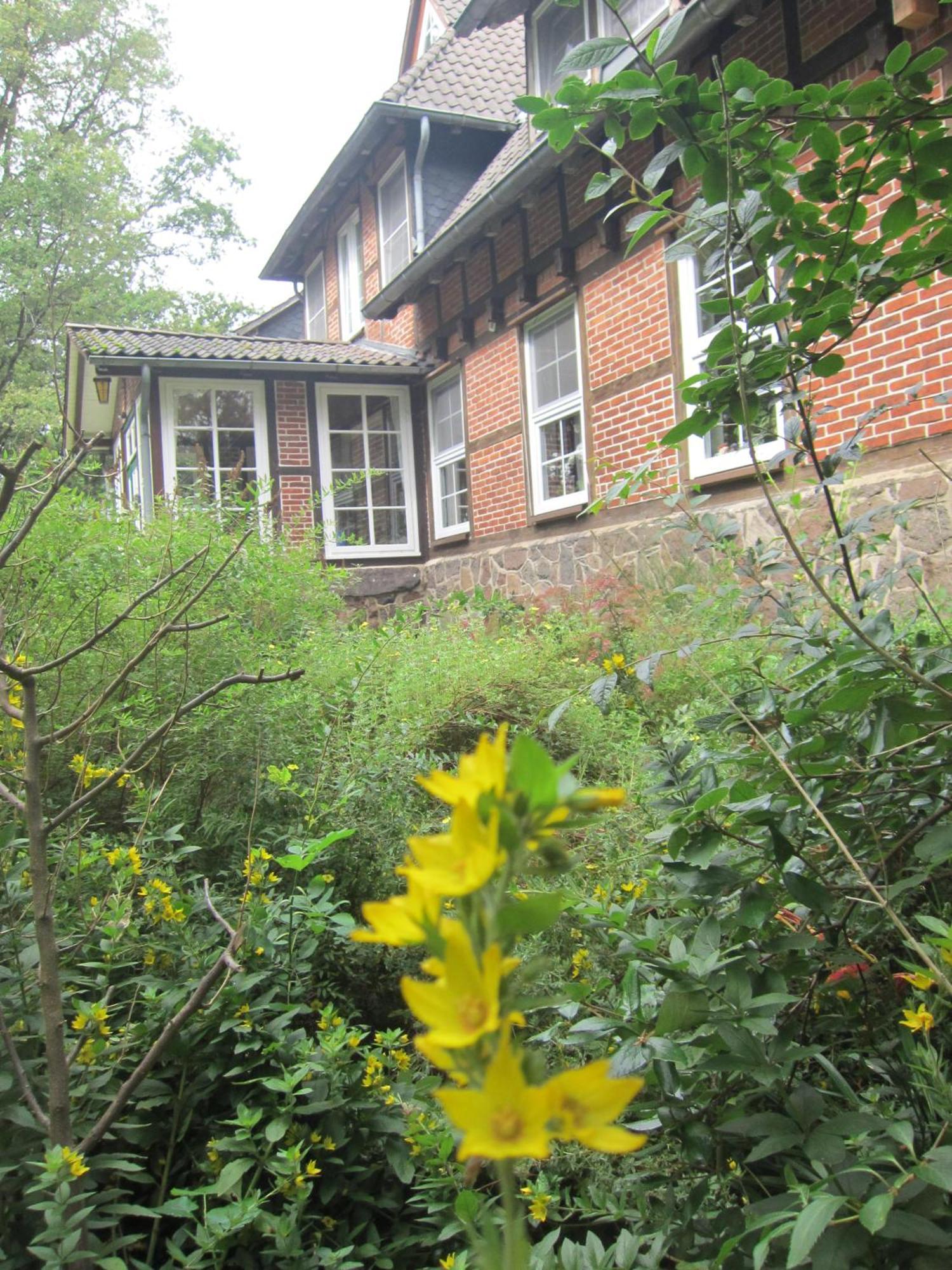 Haus Heidetal Bed & Breakfast Bispingen Bagian luar foto